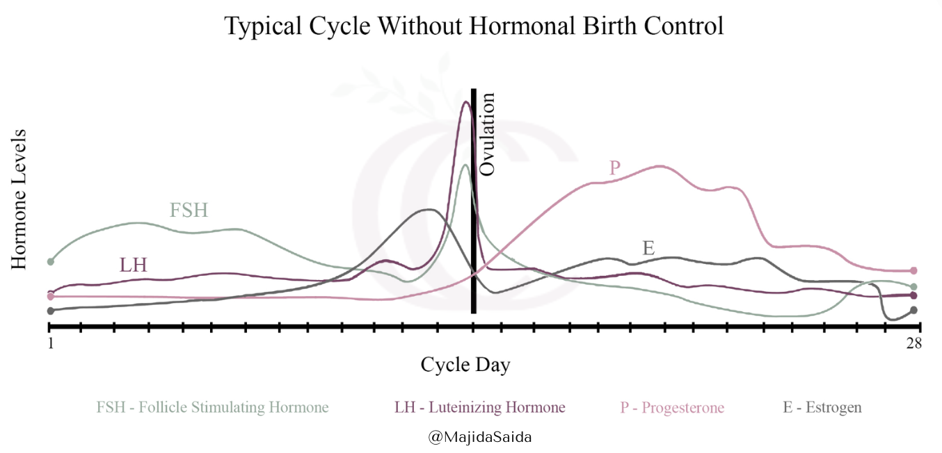 What Every Woman Needs To Know About The Pill Connection Care Therapy
